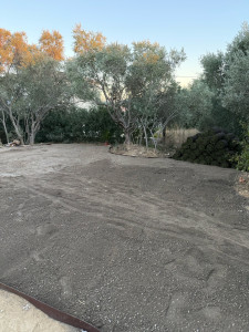 Photo de galerie - Voici les 10 m² après avoir été étalés, ainsi que la pelouse déchargée et rangée.