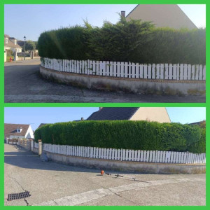 Photo de galerie - Haie 