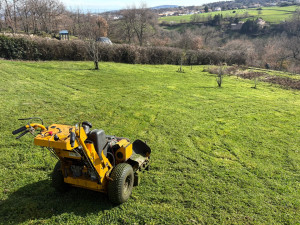 Photo de galerie - Tonte propre 