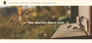 Photo de galerie - Site web réalisé pour Nos Abeilles Disent Miel. 
J'ai réalisé ce site web en 2023 sur Wordpress.