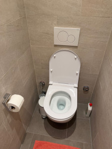 Photo de galerie - Nettoyage et désinfection complète des toilettes après intervention.