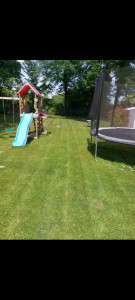 Photo de galerie - Tonte de pelouse 