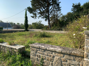 Photo de galerie - Tonte de pelouse - Débroussaillage