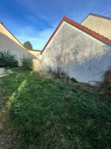 Photo de galerie - Avant la tonte