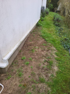 Photo de galerie - Paysagiste - Aménagement du jardin