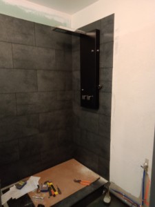 Photo réalisation - Plomberie - Installation sanitaire - Marco D. - Meudon (Bas Meudon 1) : Pose d une colonne de douche