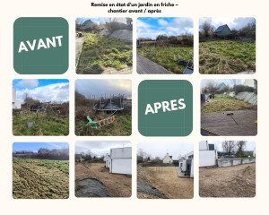 Photo de galerie - Remise en état d’un jardin en friche – chantier avant / après
