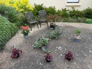 Photo de galerie - Plantation 