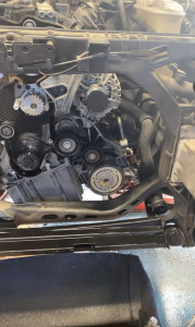 Photo de galerie - Distribution 