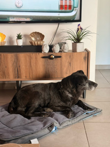 Photo de galerie - Bella, qui vient depuis 2 ans maintenant ?