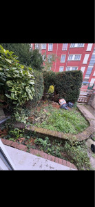Photo de galerie - AVANT, débroussaillage du parterre et nettoyage des briques  