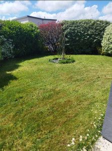 Photo de galerie - Tres beau jardin