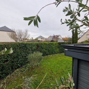 Photo de galerie - Taille de haie