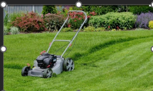 Photo de galerie - Je vous propose mes services de tondeuse votre jardin. 
