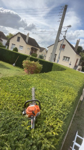 Photo de galerie - Taille De hai très propre