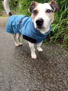 Photo de galerie - Combinaison promenade pluvieux 