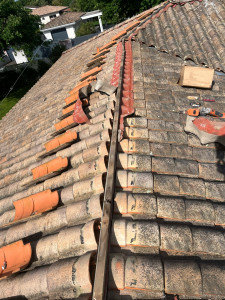 Photo de galerie - Couverture - Toiture