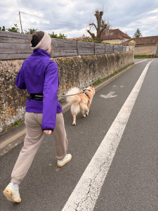 Photo de galerie - Promenade de chien 