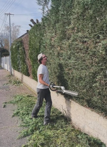 Photo de galerie - Entretien de vos haies en toute saison !