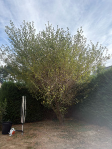 Photo de galerie - Avant 