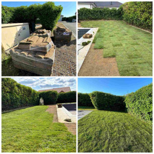 Photo de galerie - Paysagiste - Aménagement du jardin