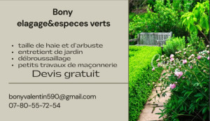 Photo de galerie - Carte de visite 