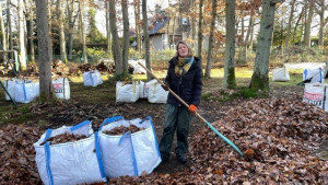 Photo de galerie - Ramassage feuilles dans une propriété
