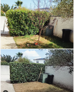 Photo de galerie - Taille haie