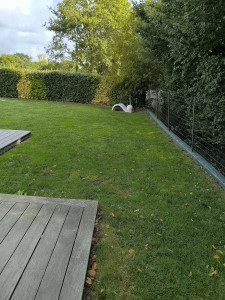 Photo de galerie - Tonte de pelouse faite chez un client début septembre.