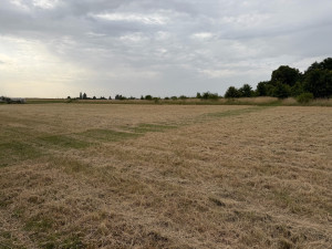 Photo de galerie - Broyage de terrain