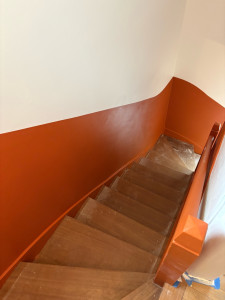 Photo de galerie - Réfection peinture escalier 