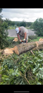 Photo de galerie - Elagage et coupe d'arbres