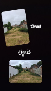 Photo de galerie - Débroussaillement Débroussaillement Terrain Prêt A La Construction De Maison 