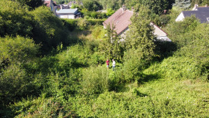 Photo de galerie - Avant le débroussaillage 