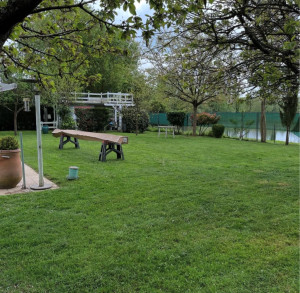 Photo de galerie - Tonte de pelouse - Débroussaillage