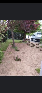 Photo de galerie - Tonte de pelouse - Débroussaillage