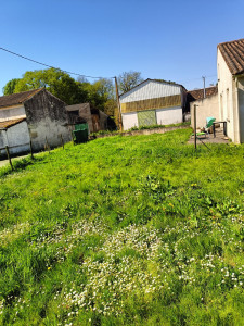 Photo de galerie - Avant tonte