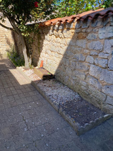 Photo de galerie - Désherbage massif 