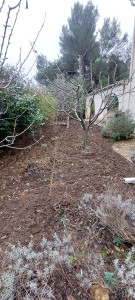 Photo de galerie - Jardinier