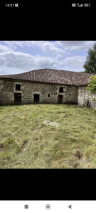 Photo de galerie - Tonte de pelouse - Débroussaillage