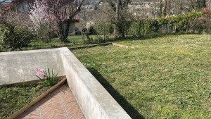 Photo de galerie - Pelouse 