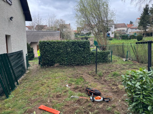 Photo de galerie - Taille de haie 