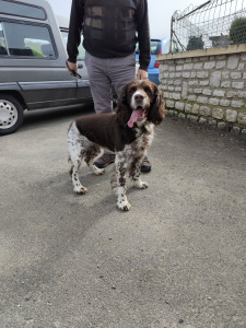 Photo de galerie - Gardiennage 