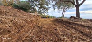Photo de galerie - Paysagiste - Aménagement du jardin