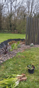 Photo de galerie - Aménagement plantation 