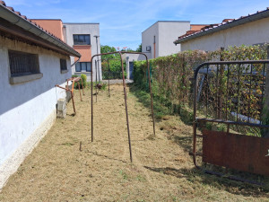 Photo de galerie - Tonte de pelouse - Débroussaillage