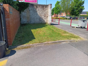 Photo de galerie - Devant la résidence après la tonte 