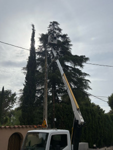 Photo de galerie - Location nacelle pour enlever un nid de frelon 