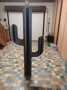 Photo de galerie - Cactus décoration