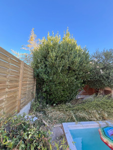 Photo de galerie - Jardinier